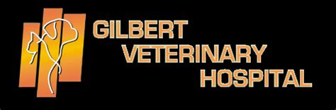 gq vet|gilbert vet.